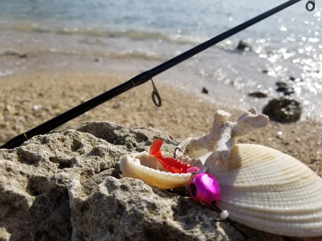 f:id:itboy283:20191206025115j:image f:id:itboy283:20191206025115j:image