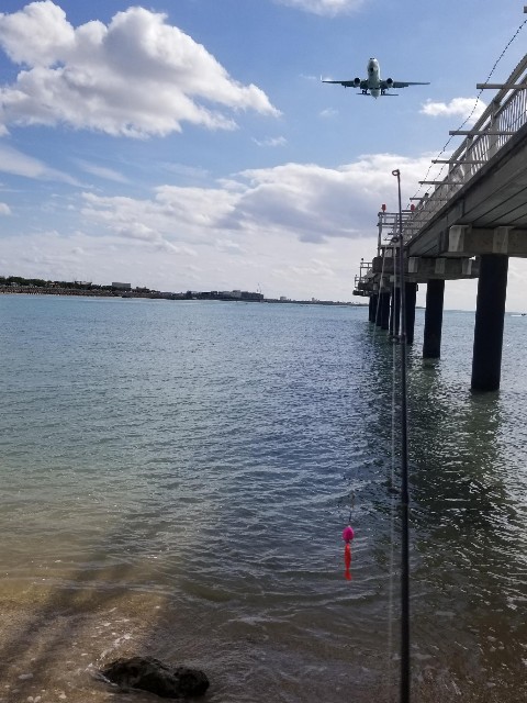 f:id:itboy283:20191207010919j:image f:id:itboy283:20191207010919j:image