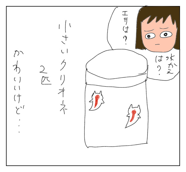 f:id:itchan123:20210120150517j:plain