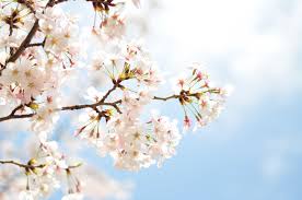 f:id:itg:20180327102630j:plain