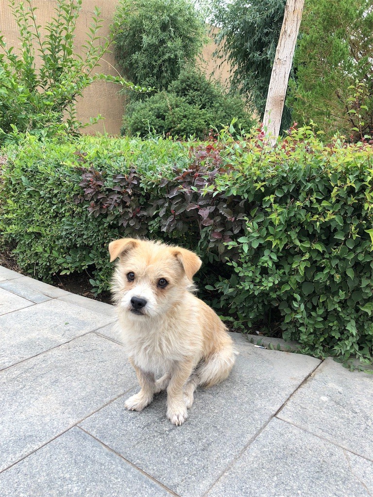 f:id:itifusa:20180808072606j:image f:id:itifusa:20180808072606j:image