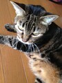 20130822161037