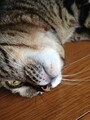 20130822161126