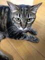 20130822202814