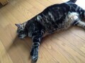 20130823062308