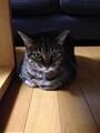20140816191703