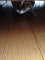 20150813112829
