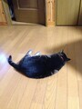 20150813195424