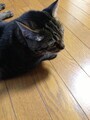 20150815055843