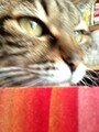 20160102123654