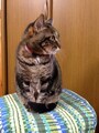 20160102170745