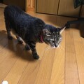 20160814201632