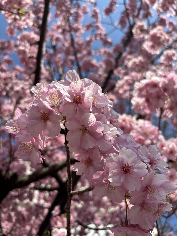 20250302135559