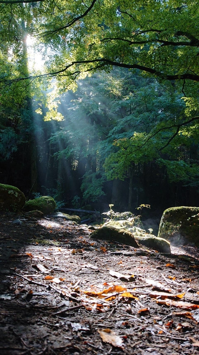 f:id:itiitikun:20191029233818j:plain