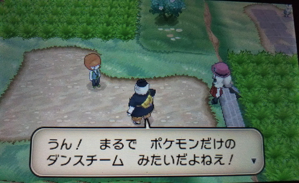 ポケモンXY@8日目「ポケモンの群れ」 , 蜜柑ボックス