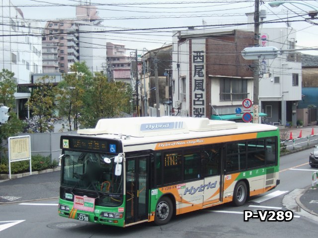 P-V289