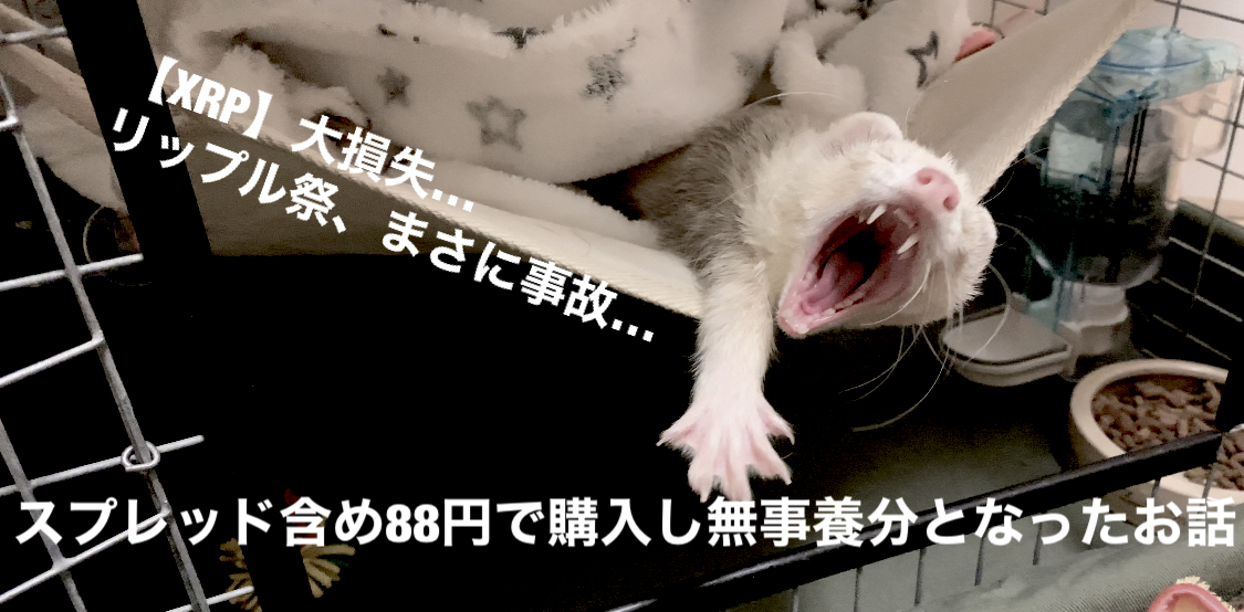 f:id:itizokuhattenn:20210204005805j:plain