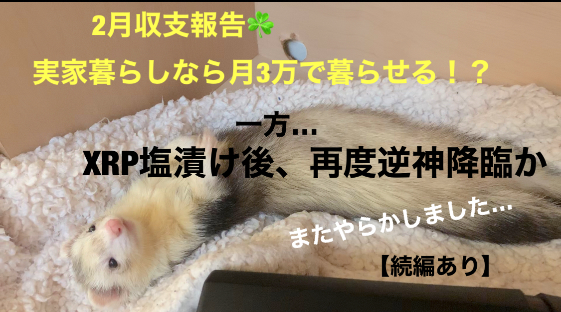 f:id:itizokuhattenn:20210302135753j:plain