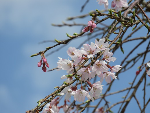 f:id:itk-lib:20180324132858j:plain