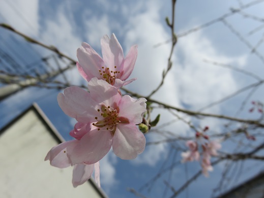 f:id:itk-lib:20180324133422j:plain
