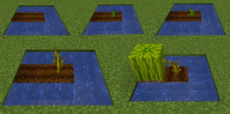 マイクラ 畑の作り方とレッドストーン回路による小麦自動化 Minecraft Arc