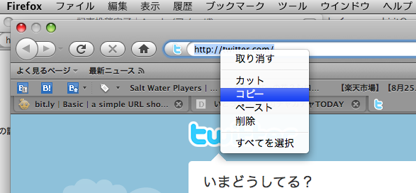 f:id:itmsc:20100824082312p:image