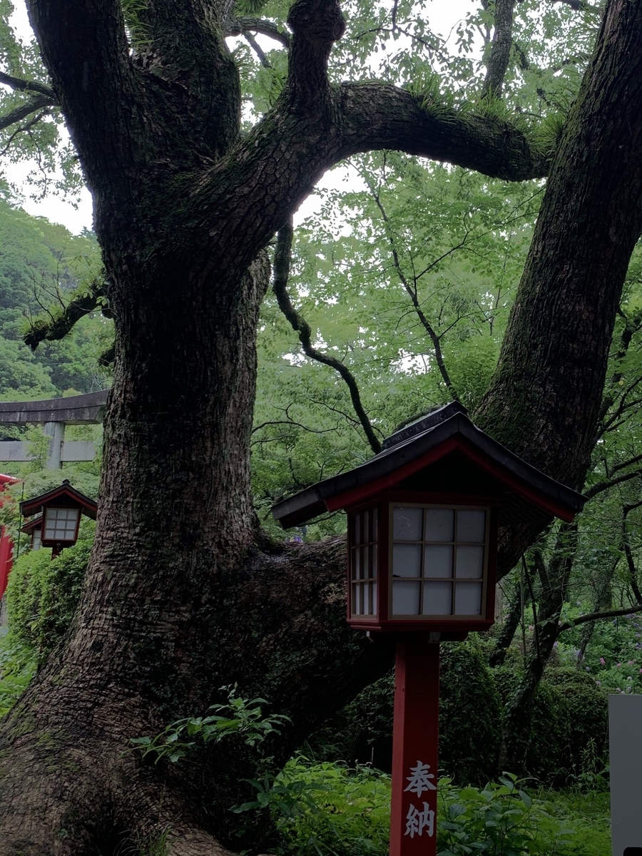 f:id:ito-e:20200710165626j:plain f:id:ito-e:20200710165626j:plain