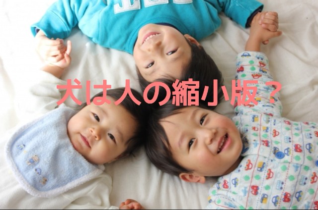 f:id:ito0325haru0605:20180801114650j:image f:id:ito0325haru0605:20180801114650j:image