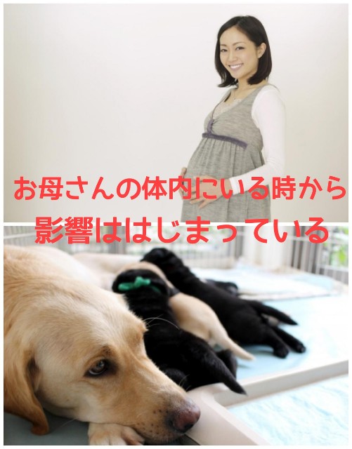 f:id:ito0325haru0605:20180801125405j:image f:id:ito0325haru0605:20180801125405j:image