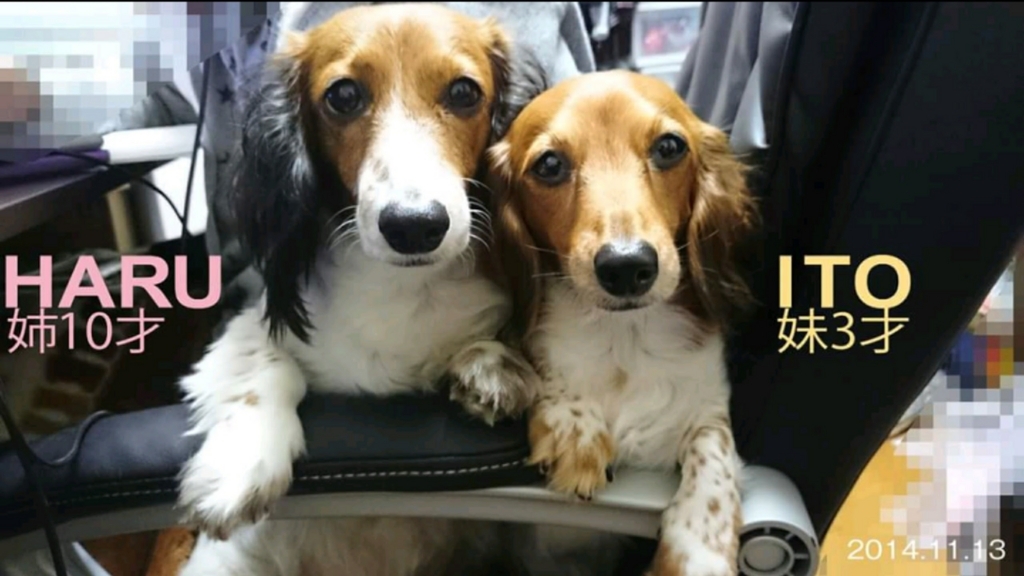 f:id:ito0325haru0605:20180801141153j:plain f:id:ito0325haru0605:20180801141153j:plain