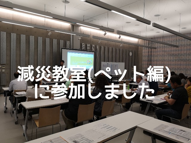 f:id:ito0325haru0605:20180801181151j:image f:id:ito0325haru0605:20180801181151j:image