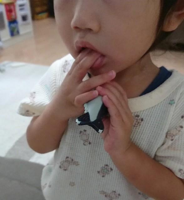 １歳11ヶ月 いつの間にか指しゃぶりをやめていました いとちま家のあれこれ