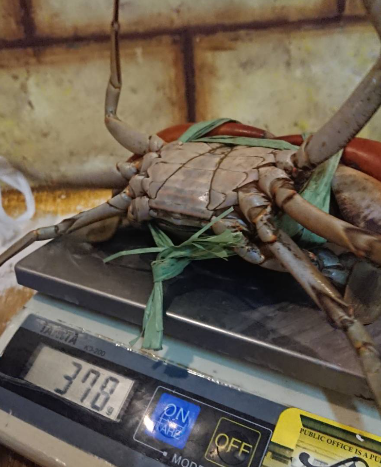 f:id:itochin2:20190419221716p:plain:w300