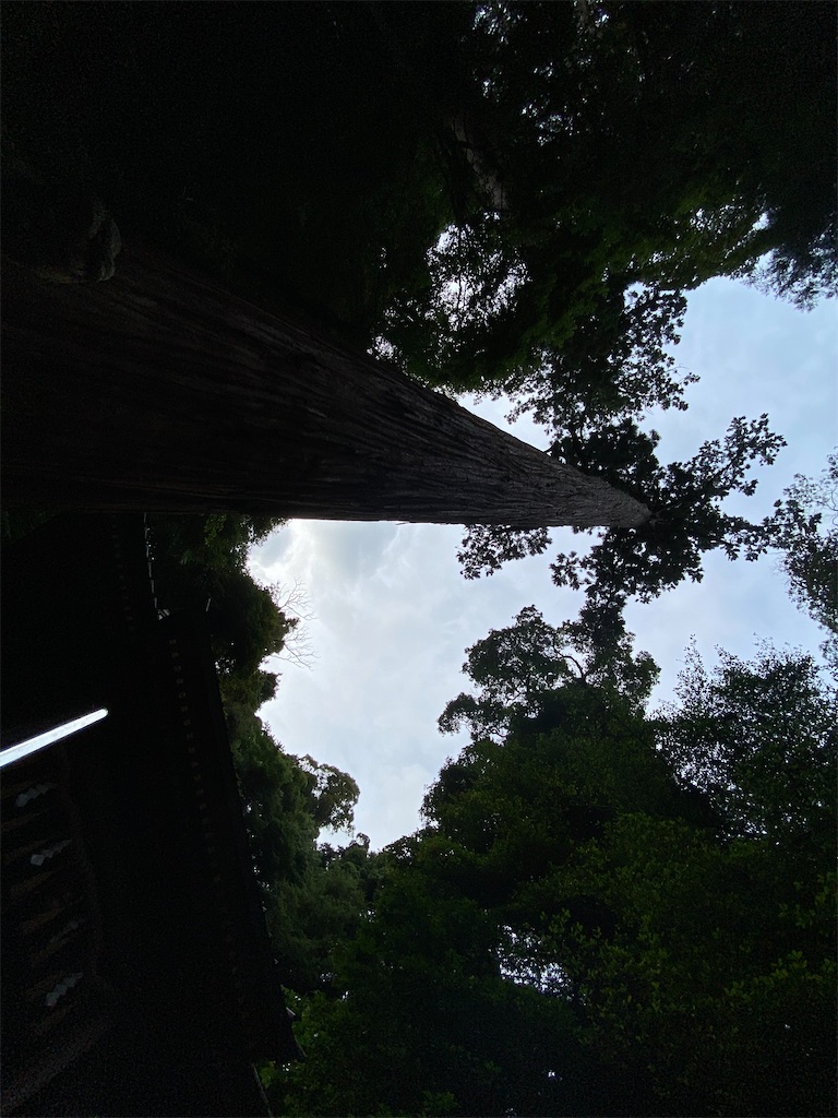 f:id:itocityhidehisa:20200702183120j:image