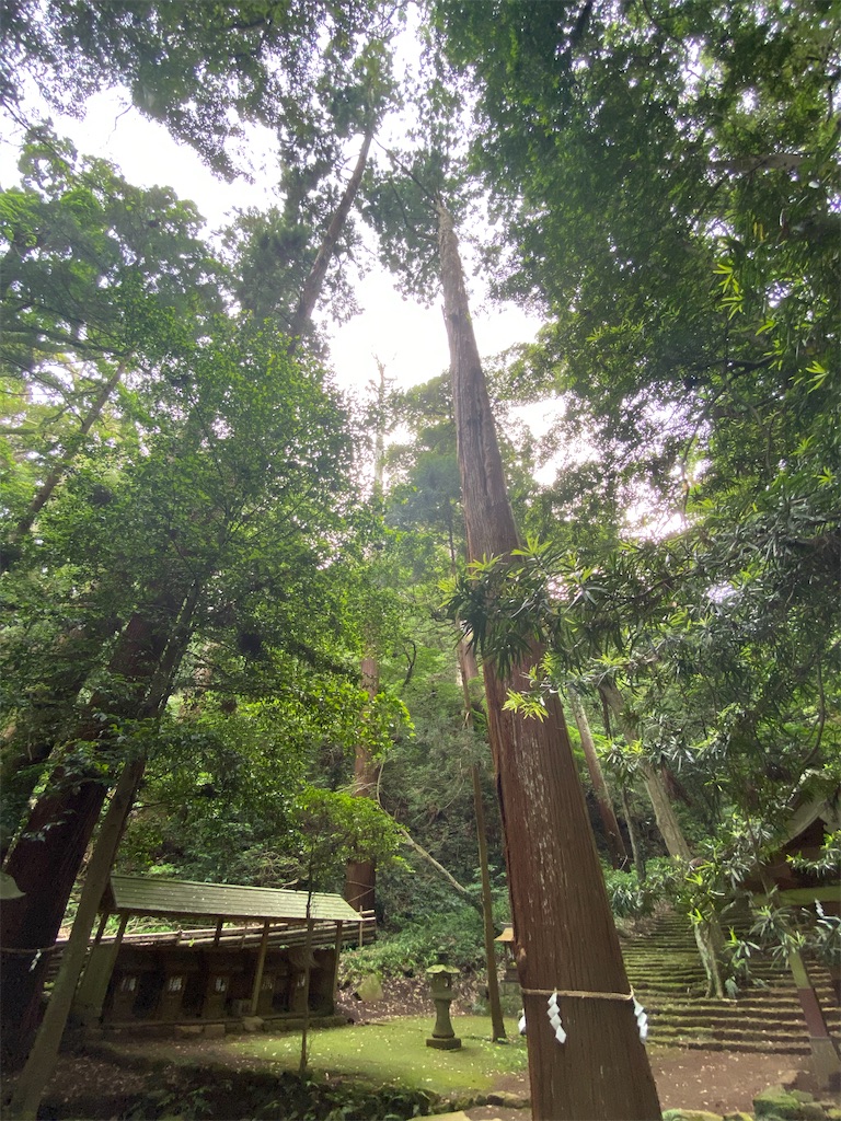 f:id:itocityhidehisa:20200702183127j:image