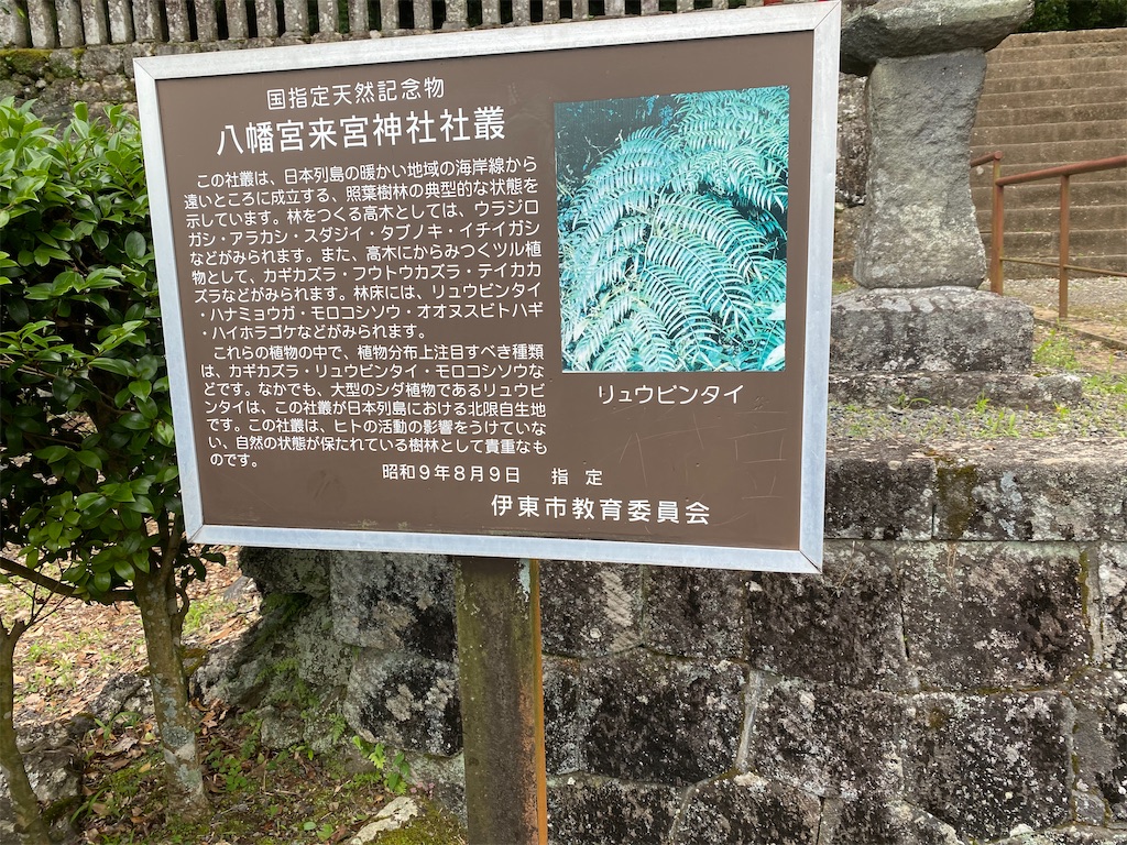 f:id:itocityhidehisa:20200702183308j:image