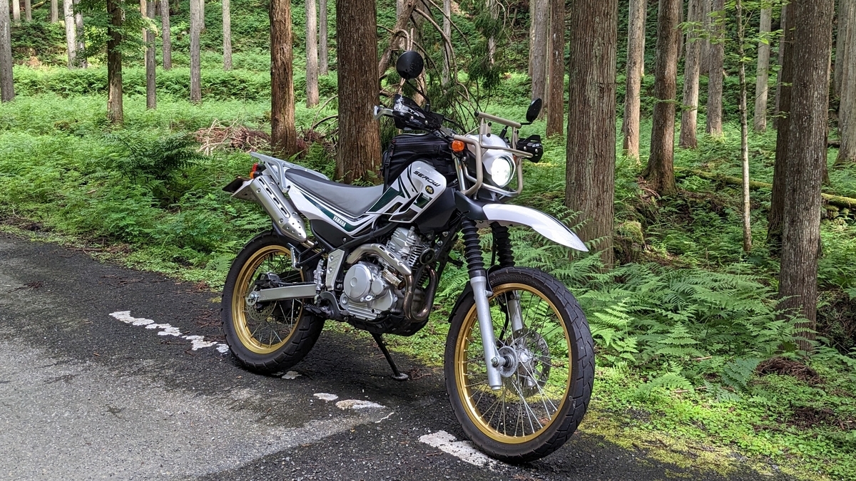 セロー250にGP-210の軽いインプレ - 99％舗装路
