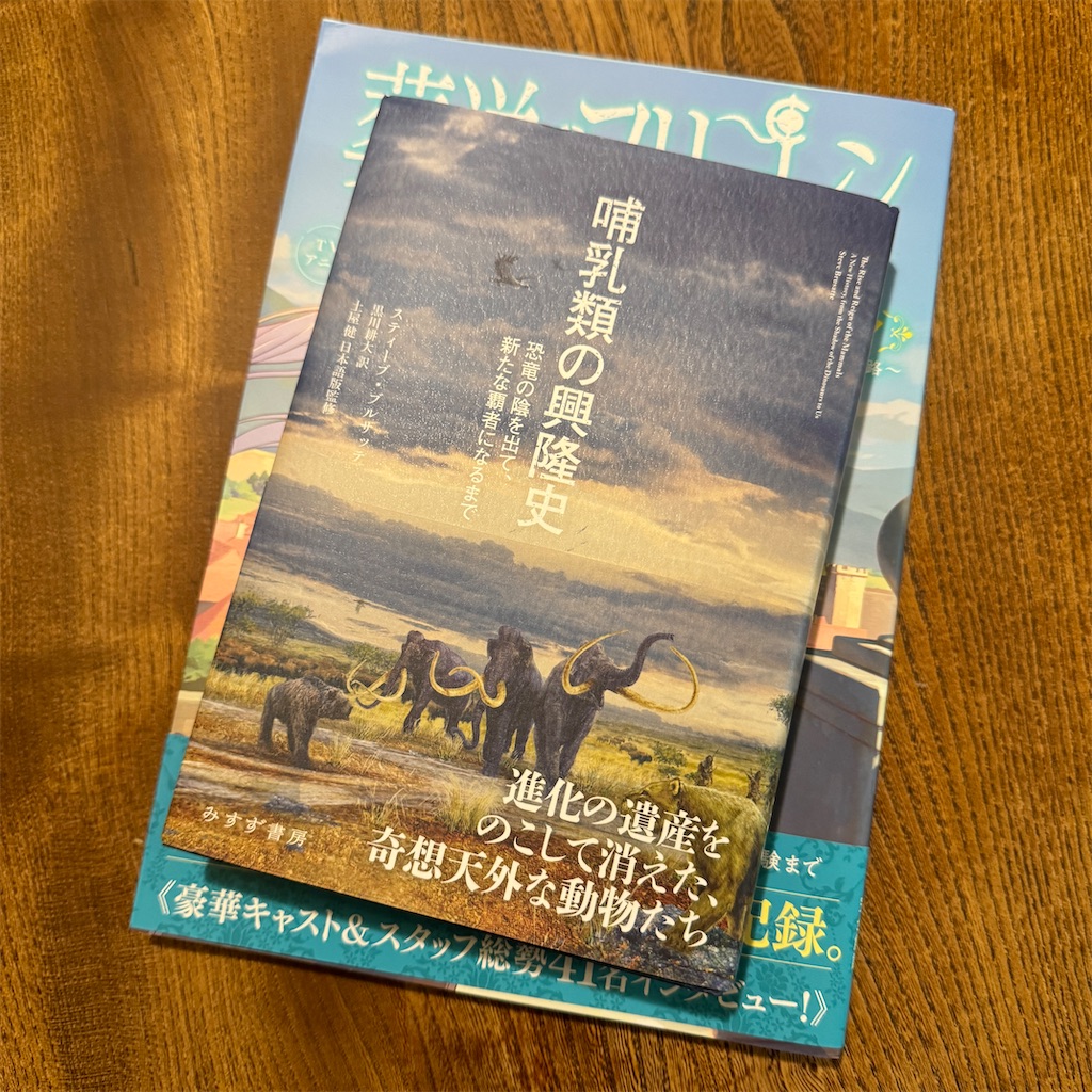 f:id:itokjp:20240726223532j:image f:id:itokjp:20240726223532j:image