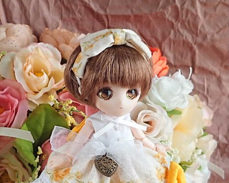 f:id:itoko-2009:20190408141710j:plain