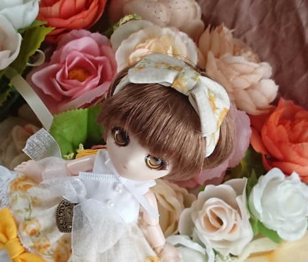 f:id:itoko-2009:20190408141723j:plain