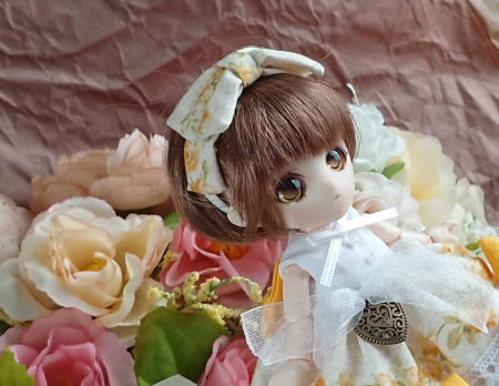 f:id:itoko-2009:20190408141728j:plain