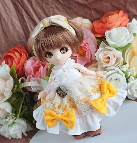 f:id:itoko-2009:20190408141737j:plain
