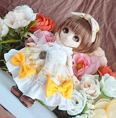 f:id:itoko-2009:20190408141747j:plain