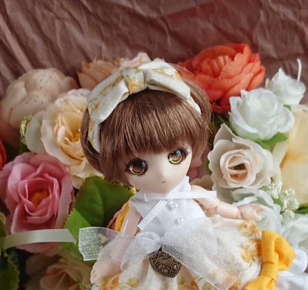 f:id:itoko-2009:20190408141752j:plain