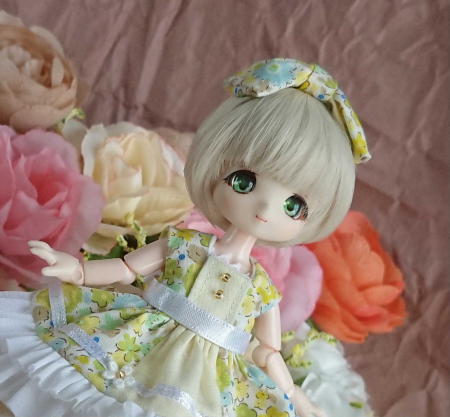 f:id:itoko-2009:20190502144157j:plain