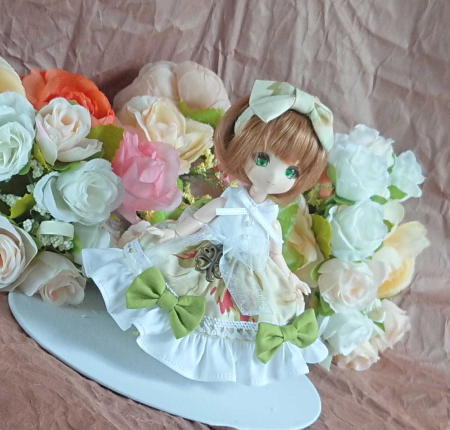 f:id:itoko-2009:20190521151029j:plain f:id:itoko-2009:20190521151029j:plain