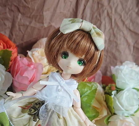 f:id:itoko-2009:20190521151051j:plain f:id:itoko-2009:20190521151051j:plain