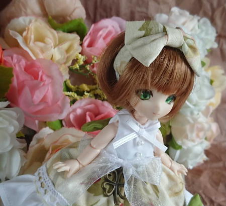 f:id:itoko-2009:20190521151101j:plain f:id:itoko-2009:20190521151101j:plain