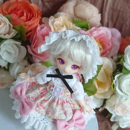 f:id:itoko-2009:20190527130101j:plain