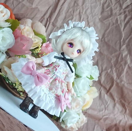 f:id:itoko-2009:20190527130129j:plain